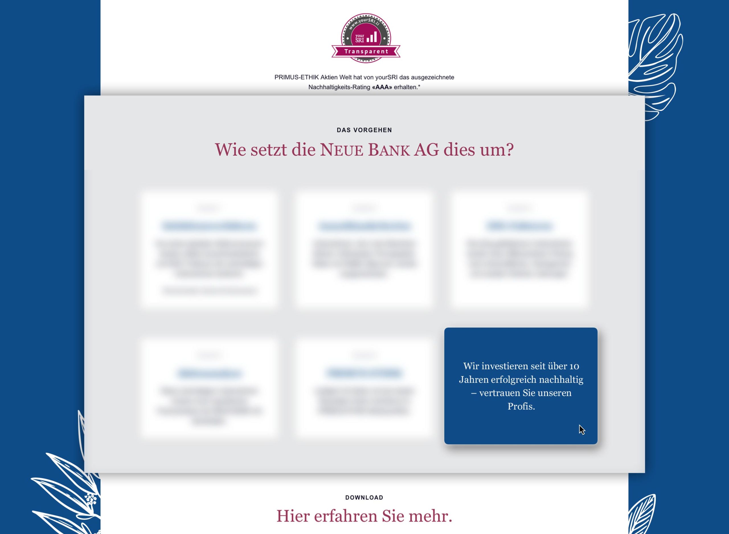 Online Advertising Liechtenstein, Neue Bank